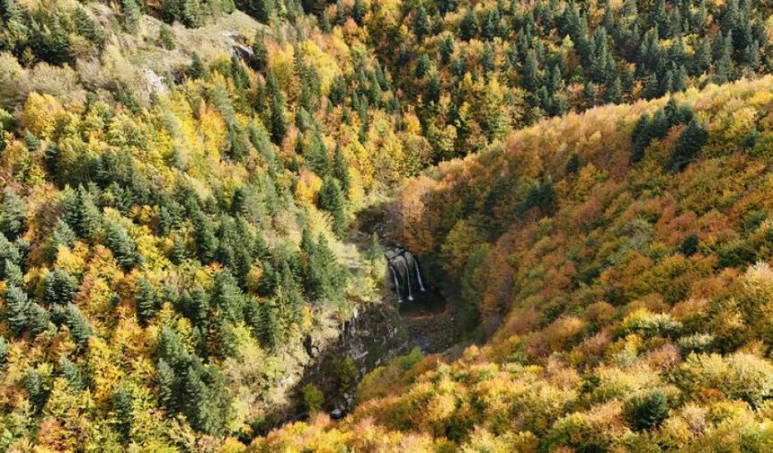 21 İlde Orman Sınırları Değiştirilerek Yapılaşmaya Açıldı! Aralarında Çorum’da Var