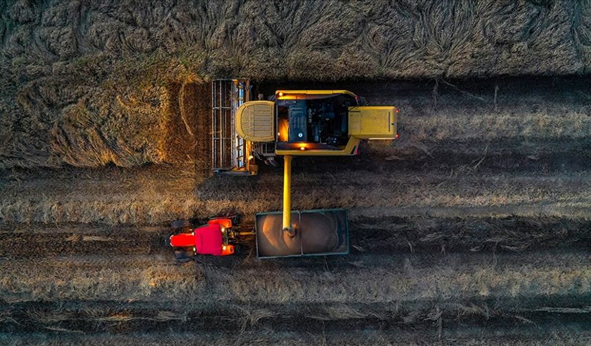 Yağışlar Buğday Üretiminde Rekor Beklenti Yarattı