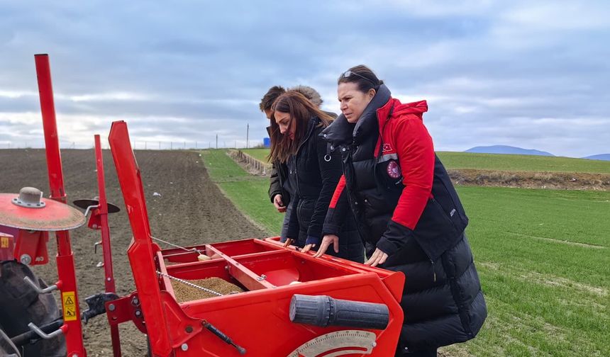 Yerli Ve Milli Tohum “Kirve” Çorum Topraklarıyla Buluşturuldu!