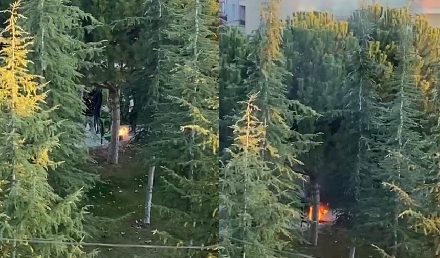 Gençlerin Parkta Sürekli Yaktığı Ateş Mahalleliyi Canından Bezdirdi