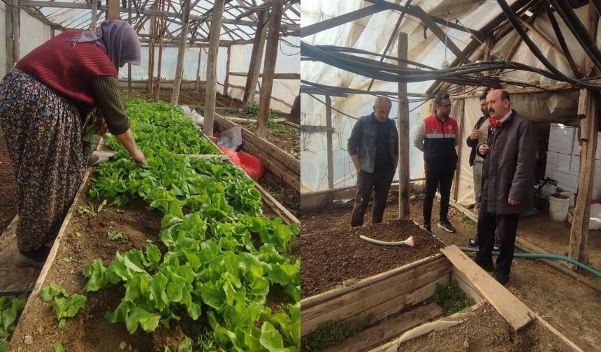 Osmancık’a Müjde! Sera Projesi Hayata Geçiyor