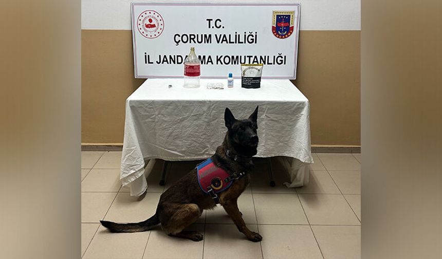 Jandarma’dan Mahalleye Operasyon!