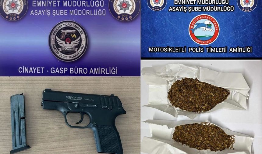 Şok Uygulamalarda Ele Geçirilenler Dudak Uçuklattı!