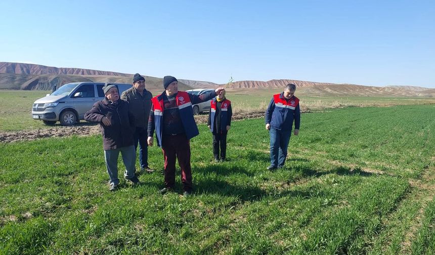 Hububat Ekili Arazilerde Hastalıklara Karşı Kontroller Sürüyor