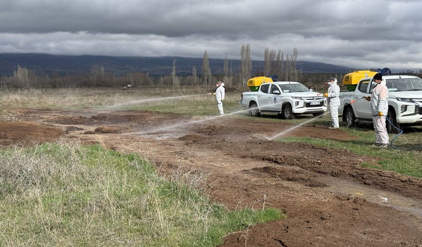 Çorum Belediyesi’nden Yaz Öncesi Yoğun Vektörle Mücadele