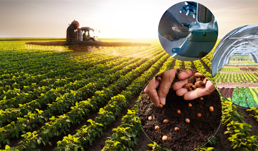 Hesaplarınızı Kontrol Edin! 9 Milyarlık Dev Ödeme Yatırıldı