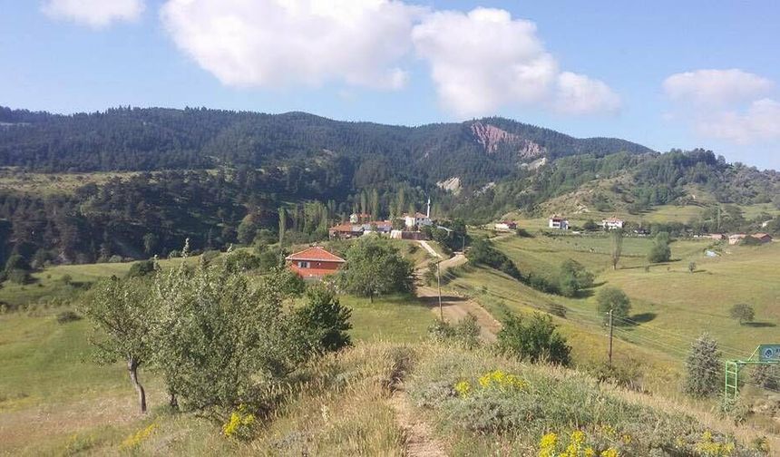 Sürekli Yaşanan Elektrik Kesintileri Köylüleri Çileden Çıkardı