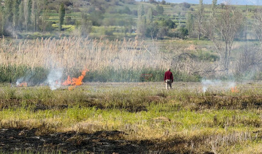 Doğa Katliamı! Sazlıklar Yakıldı, Canlıların Yaşam Alanı Yok Edildi