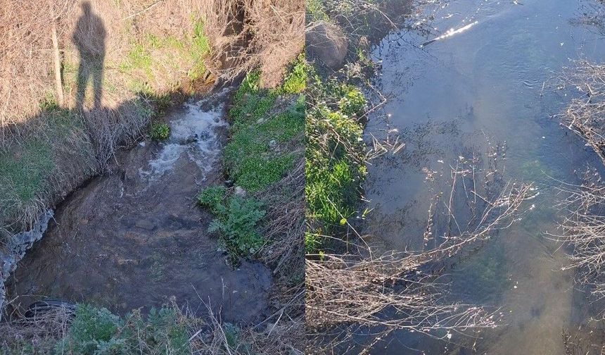 Sevindiren Gelişme! 6 Yıl Sonra Yeniden Akmaya Başladı