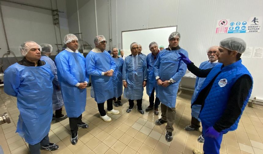 “Dalgıçlar Çiftliği Çorum’un Yüzakı”