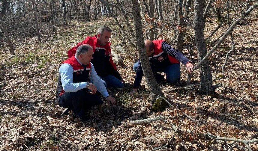 Çorum’da Süne Zararlısına Karşı Kışlaklarda Erken Mücadele Başladı