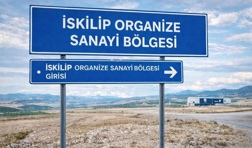 Başkan Çizikçi Tane Tane Anlatmış