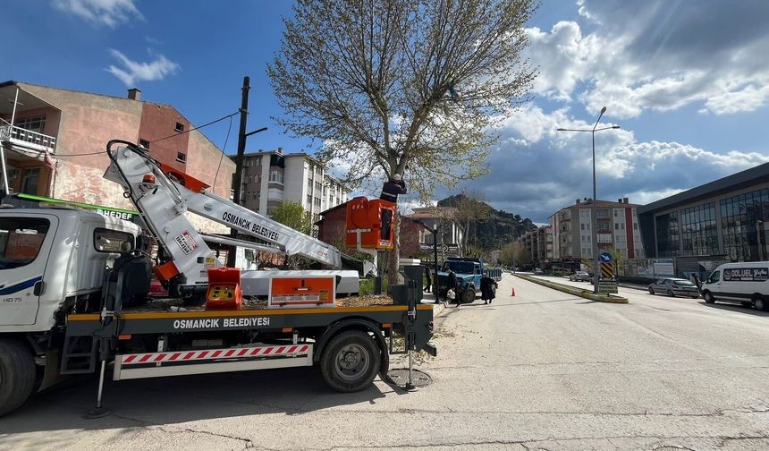 Park ve Bahçeler Ekiplerinden Yoğun Çalışma