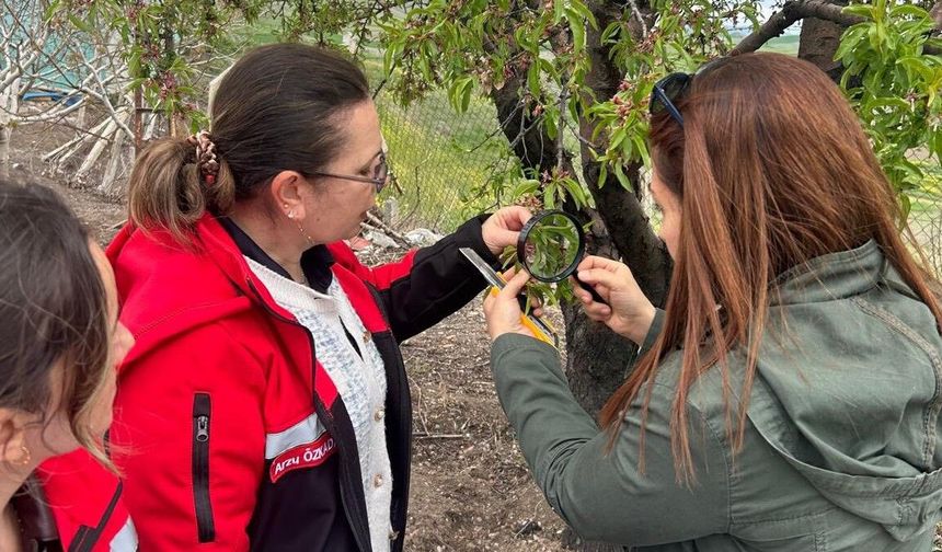Tarlada Ve Bahçede Yakın Takip: Hastalık Ve Zararlılara Anında Müdahale