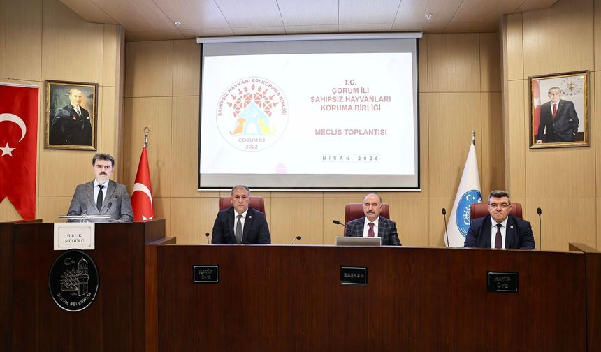 Çorum’da Sahipsiz Hayvanlar İçin Yeni Dönem