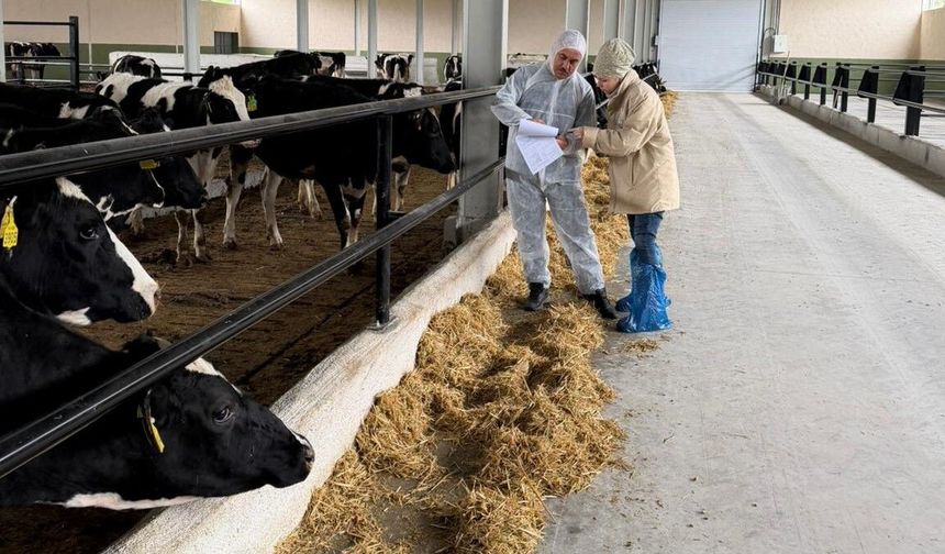 Laçin'de Hayvancılıkta Ari İşletme Sertifikası Olan İşletmelere Denetim