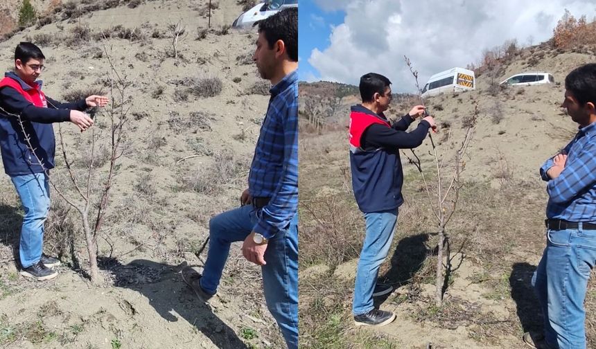 Bayat’ta Bitkilerde Verimi Artırmak İçin Budama Kontrolleri Yapıldı