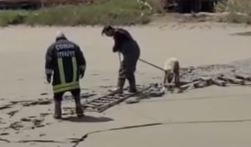 Çorum İtfaiyesinden Çamur Havuzunda Kurtarma Operasyonu