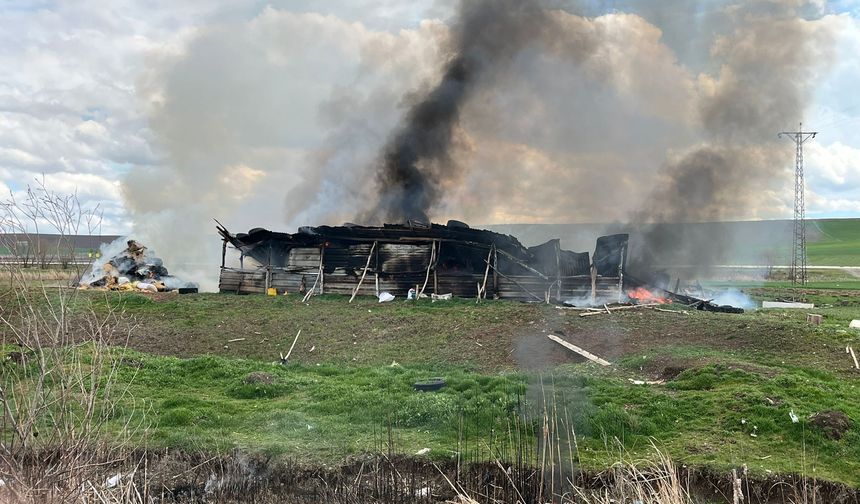 Alevler Her Şeyi Sardı! 150 Metrekarelik Ağıl Küle Döndü