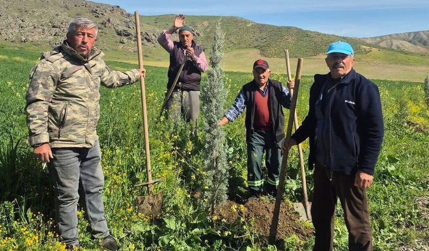 Köyde Örnek Dayanışma: Fidanlar Toprakla Buluştu