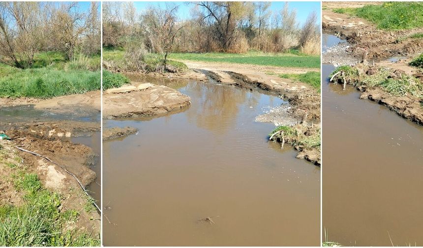 Efenik Çayı Alarm Veriyor! Köylüler İsyanda