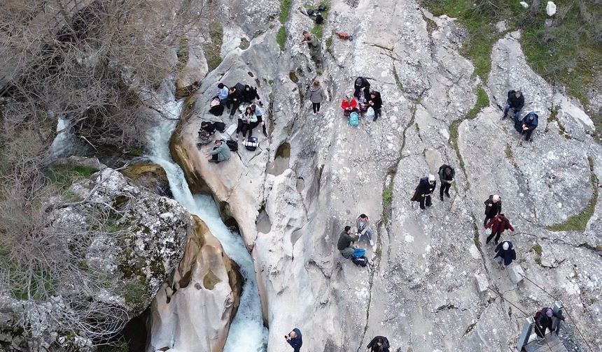 İlkbaharda Büyülüyor: Doğa Tutkunlarının Gözdesi