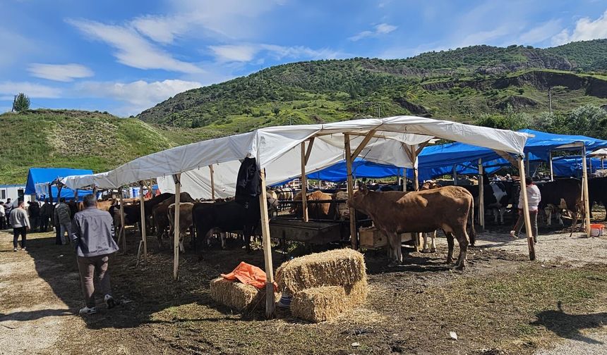 Bayat’ta Hayvan Pazarı Açıldı