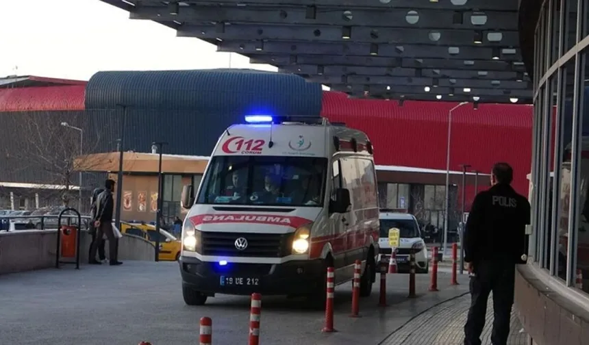 Çorum’da Mantar Faciası! Hamile Kadın ve Bebeği Hayatını Kaybetti