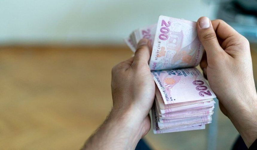 Mayısta 375,6 Milyon Lira Hibe Ödemesi Yapıldı
