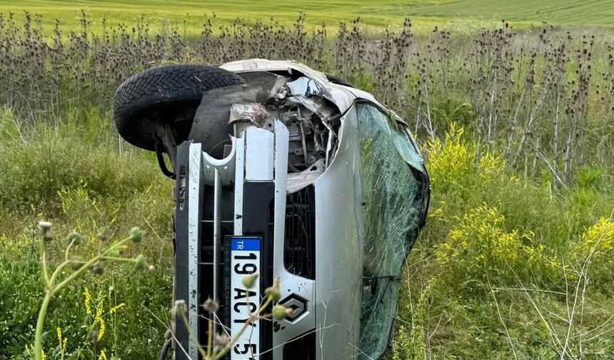 Takla Atan Otomobilden Hem Kendileri, Hem De Koyunları Sağ Çıktı!