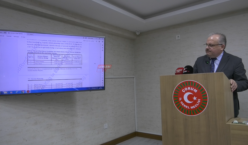KÖYDES'e Bütçe Aktarımlarına Sayıştay Freni!