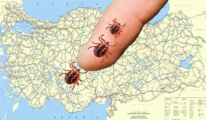 Endişe Başladı! Komşuda Can Kaybı Üçe Yükseldi, Çorum En Riskli Şehirler Arasında