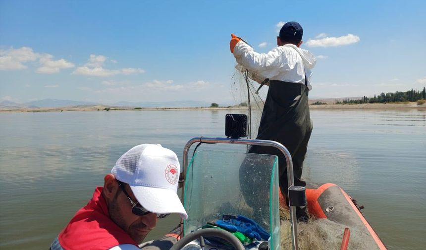 Hayalet Ağ Operasyonu! Çorum'da Yasa Dışı Avcılığa Ağır Darbe