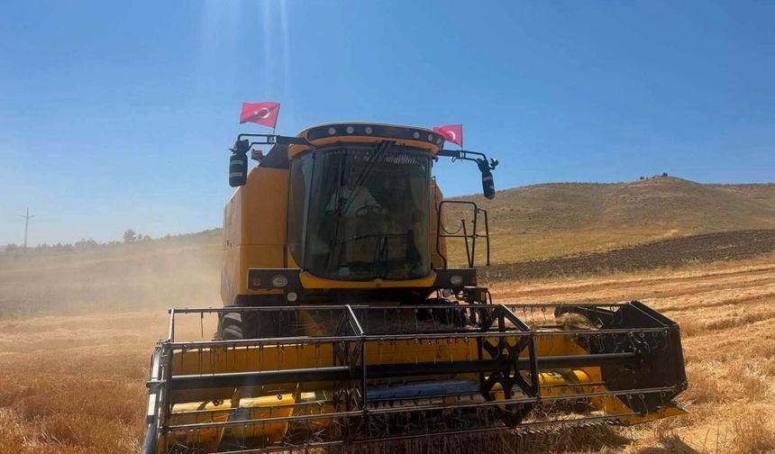 Kaymakam Direksiyona Geçti, Hasat Yaptı