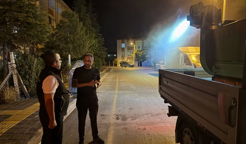 Sinek Ve Sivrisineğe Karşı Yoğun Mücadele