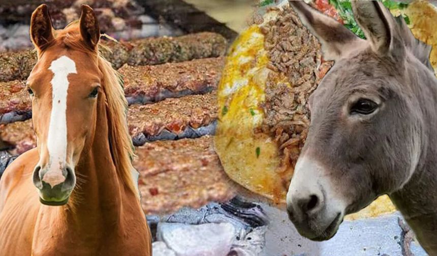 At Ve Eşek Eti Yedirmişler