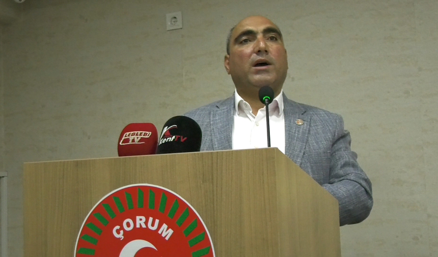 Çorum'da Yaban Domuzu Alarmı! Tarım Arazileri İçin Mücadele Sürüyor