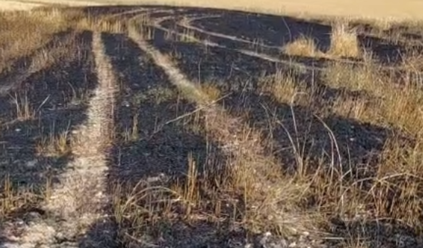 10 Dönüm Emek Kül Oldu!