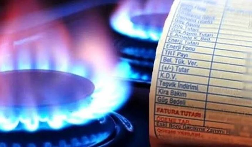 Temmuzda 158,8 Milyon Liralık Doğal Gaz Desteği