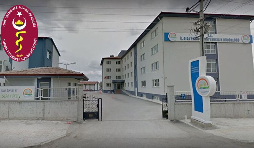 Veteriner Ve Sağlık Teknikerine Saldırı Kınandı