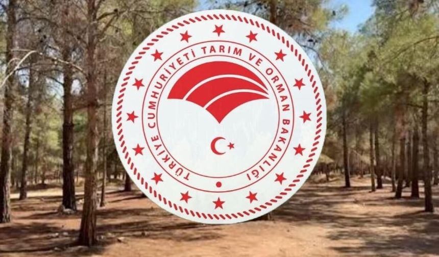 Bakan Açıkladı! Bin 874 Personel Alınacak