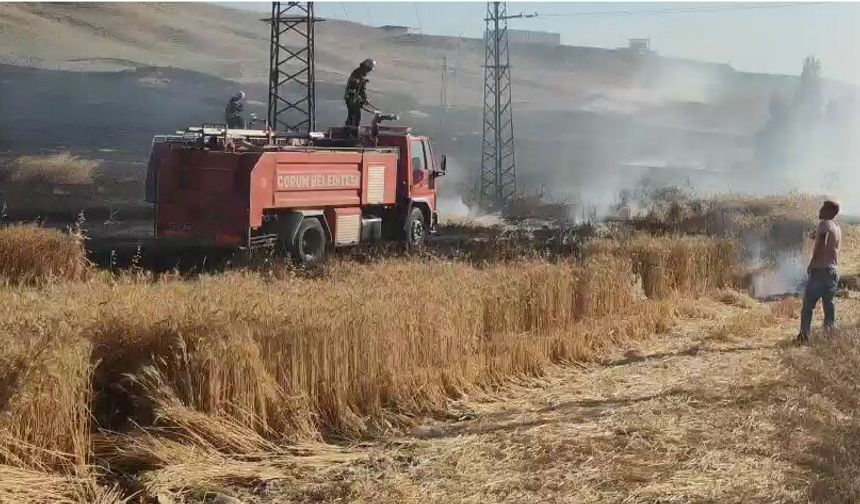 Bakanlıktan Şiddetli Rüzgar Ve Yangın Uyarısı
