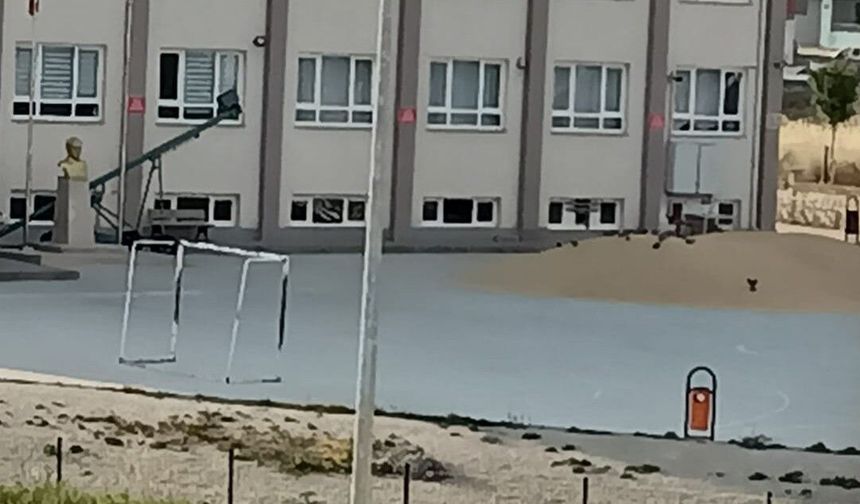 Okul Mu, Depo Mu? Çorum'daki Görüntüler Tepki Çekti