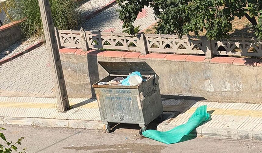 Beytepe 2. Cadde Çöp Kokusu Ve Sinekten Dertli