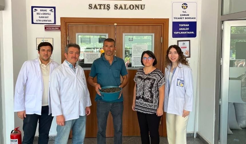 Yılın İlk Yağlık Ayçiçeği Satıldı