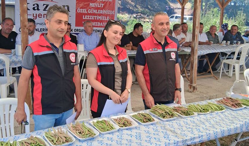 Kızılpınar Taze Fasulyesi Coğrafi İşaret Yolunda!