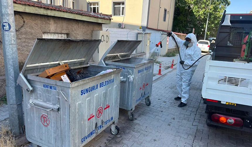 Sungurlu Belediyesi Haşereye Karşı Mücadeleyi Sürdürüyor