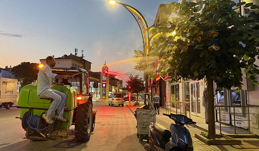 Alaca Belediyesi'nden Haşere Operasyonu