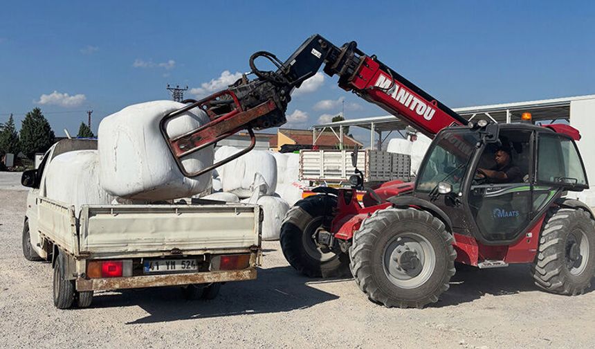 Damızlık Sığır Yetiştiricileri Birliği’nden Kaba Yem Hamlesi