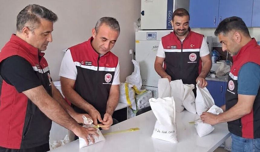 Sertifikalı Tohum Üretiminde Kalite Denetimi